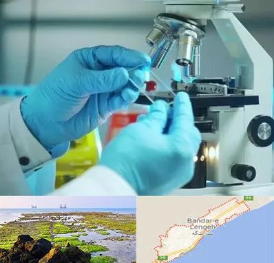 آزمایشگاه با جواب فوری در بندرلنگه