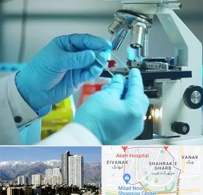 آزمایشگاه با جواب فوری در شهرک غرب 