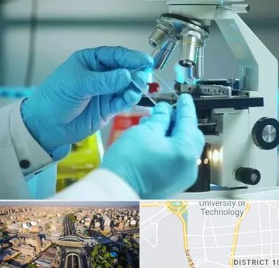 آزمایشگاه با جواب فوری در استاد معین 