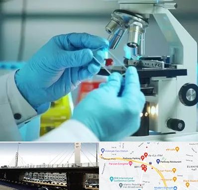آزمایشگاه با جواب فوری در پارک وی 