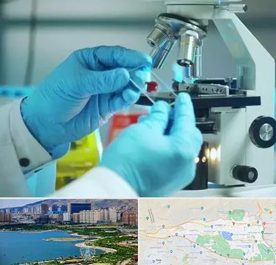 آزمایشگاه با جواب فوری در منطقه 22 تهران 