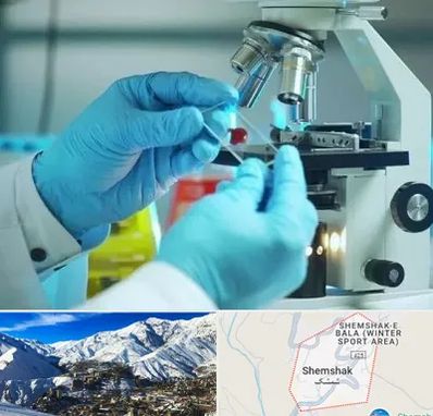 آزمایشگاه با جواب فوری در شمشک