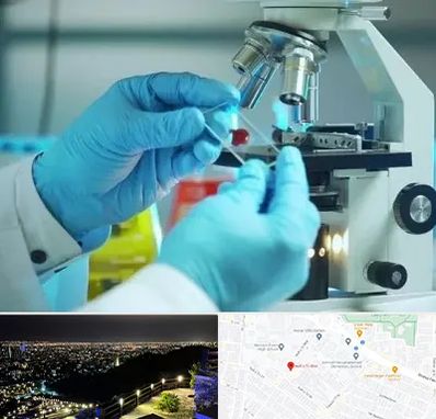 آزمایشگاه با جواب فوری در هفت تیر مشهد 