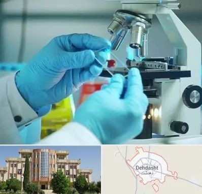 آزمایشگاه با جواب فوری در دهدشت