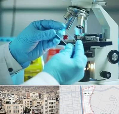 آزمایشگاه با جواب فوری در اسکندری