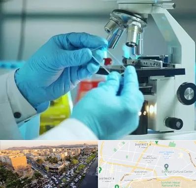 آزمایشگاه با جواب فوری در تهرانپارس 