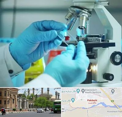 آزمایشگاه با جواب فوری در پاکدشت