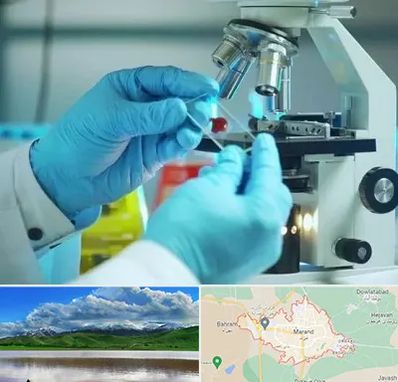 آزمایشگاه با جواب فوری در مرند