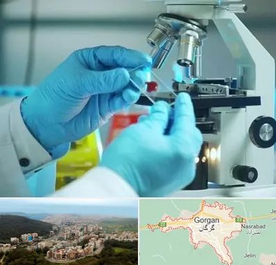 آزمایشگاه با جواب فوری در گرگان