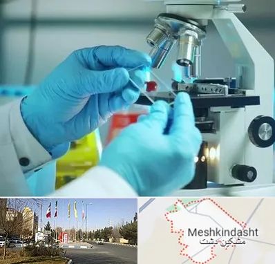 آزمایشگاه با جواب فوری در مشکین دشت