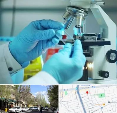 آزمایشگاه با جواب فوری در کوی فیروز تبریز