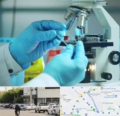 آزمایشگاه با جواب فوری در قدوسی شرقی شیراز