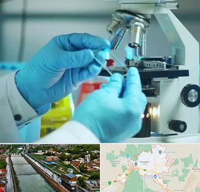 آزمایشگاه با جواب فوری در مراغه