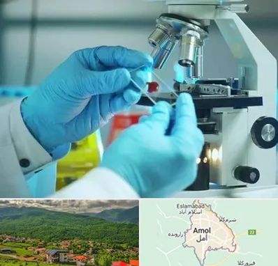 آزمایشگاه با جواب فوری در آمل