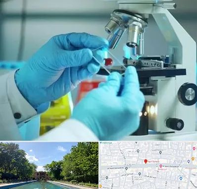 آزمایشگاه با جواب فوری در هشت بهشت اصفهان