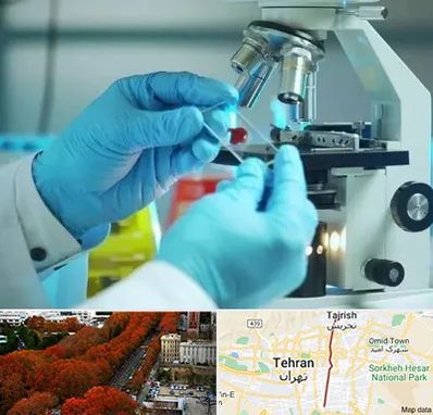 آزمایشگاه با جواب فوری در ولیعصر 