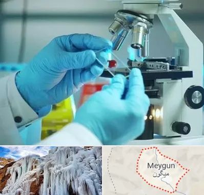 آزمایشگاه با جواب فوری در میگون