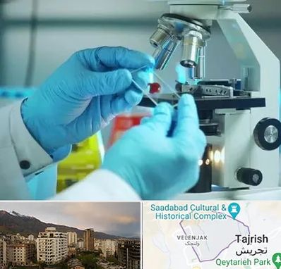 آزمایشگاه با جواب فوری در زعفرانیه 