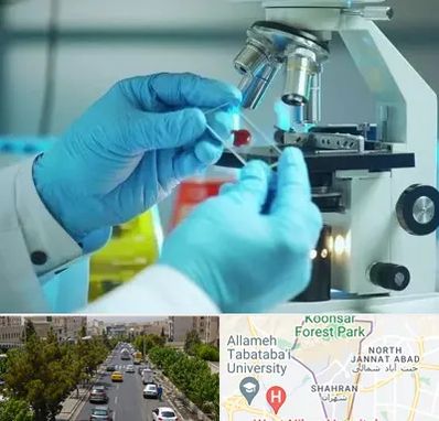 آزمایشگاه با جواب فوری در شهران 