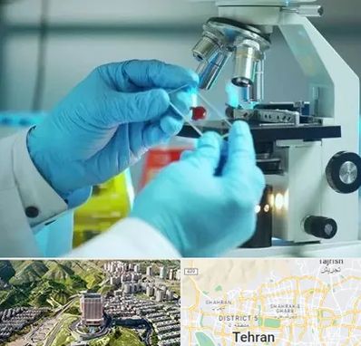 آزمایشگاه با جواب فوری در شمال تهران 