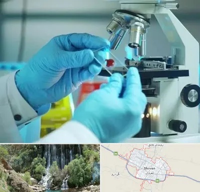 آزمایشگاه با جواب فوری در شیروان