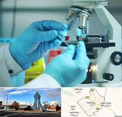 آزمایشگاه با جواب فوری در تایباد