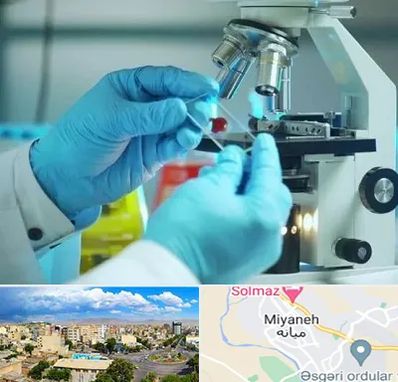 آزمایشگاه با جواب فوری در میانه