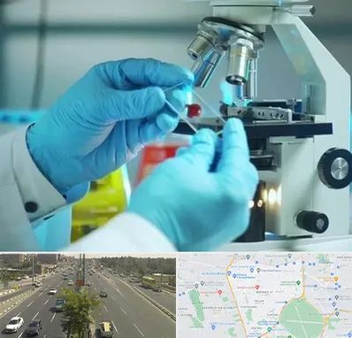 آزمایشگاه با جواب فوری در منطقه 17 تهران 