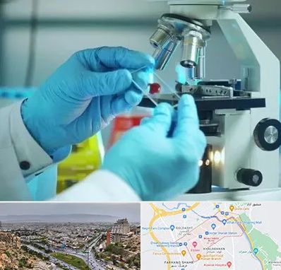 آزمایشگاه با جواب فوری در معالی آباد شیراز