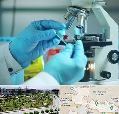 آزمایشگاه با جواب فوری در پردیس