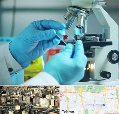 آزمایشگاه با جواب فوری در مرزداران 