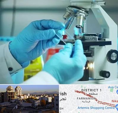 آزمایشگاه با جواب فوری در فرمانیه 