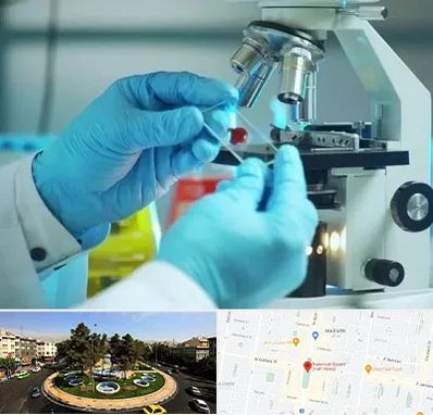 آزمایشگاه با جواب فوری در هفت حوض 