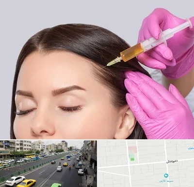 تزریق هیر فیلر در خیابان دامپزشکی
