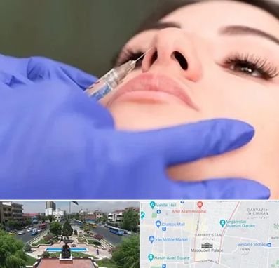 هیالاز در بهارستان 