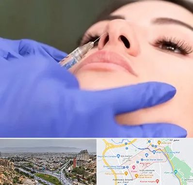 هیالاز در معالی آباد شیراز