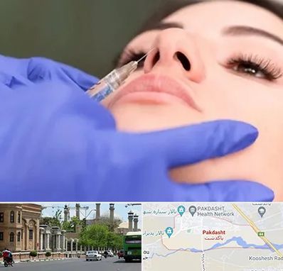 هیالاز در پاکدشت