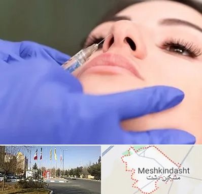 هیالاز در مشکین دشت