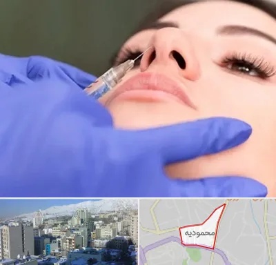 هیالاز در محمودیه