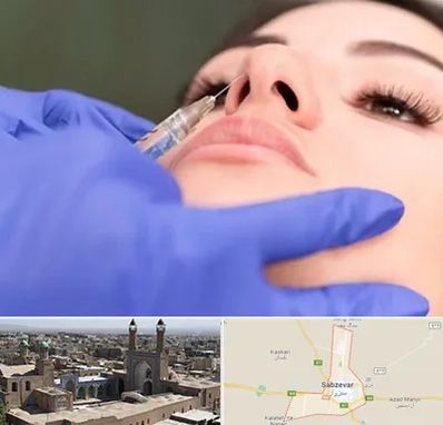 هیالاز در سبزوار