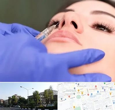 هیالاز در میدان کاج 