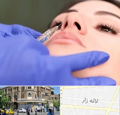 هیالاز در لاله زار