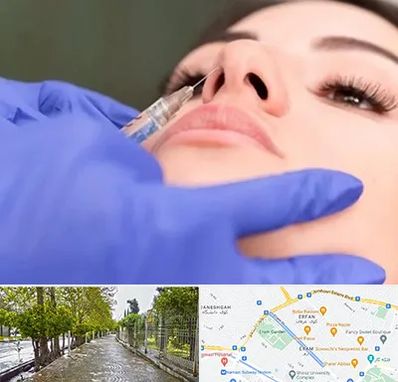 هیالاز در خیابان ارم شیراز