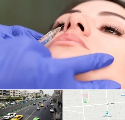 هیالاز در خیابان دامپزشکی