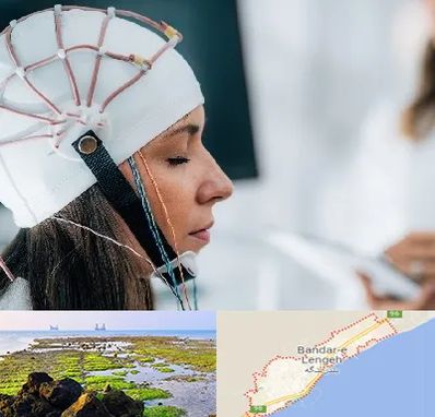 آزمایشگاه نقشه برداری مغز در بندرلنگه