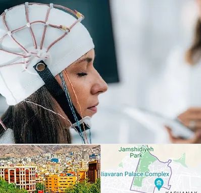 آزمایشگاه نقشه برداری مغز در نیاوران 