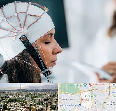 آزمایشگاه نقشه برداری مغز در گیشا 