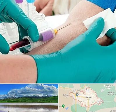 آزمایشگاه در منزل در مرند