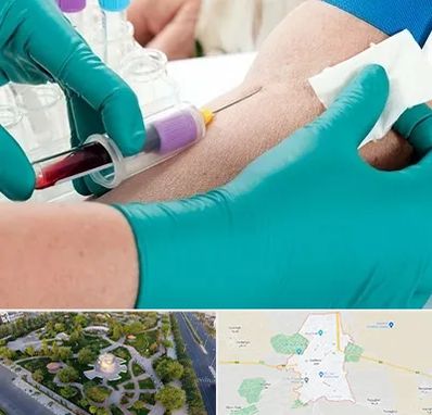 آزمایشگاه در منزل در کاشمر