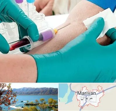 آزمایشگاه در منزل در مریوان